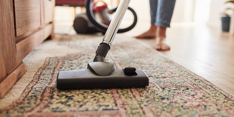 Carpet Cleaning in Wilmington, North Carolina