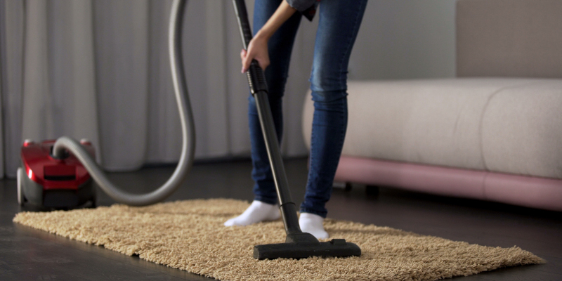 VLM Carpet Cleaning in Wilmington, North Carolina