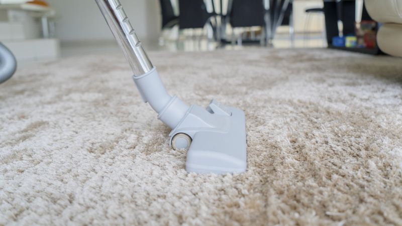 Carpet Cleaning Business in Southport, North Carolina